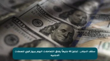 سقف الدولار.. تجاوز 48 جنيهاً يغلق التعاملات اليوم ببروز قوي للعملات الأجنبية